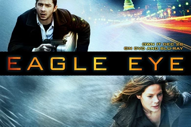 Eagle Eye Wallpapers HD Download