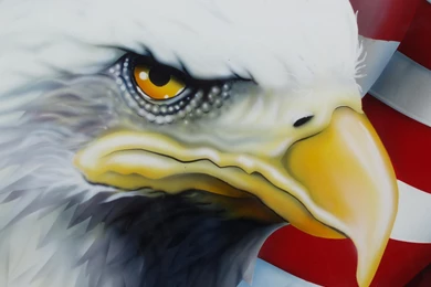 Tailgate Eagle Eye >> HD Wallpaper, Get It Now!