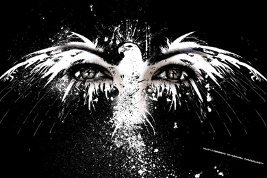 The Pictures For   > Eagle Eyes