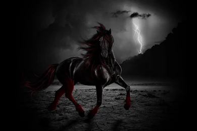 Hd Red Horse Wallpapers Desktop 3d Hd Pictures.