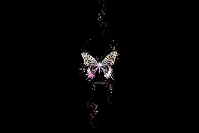 Loveless Butterfly   (