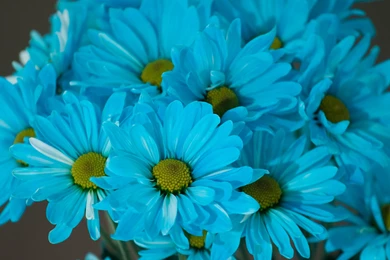 Blue Computer Wallpapers, Desktop Backgrounds