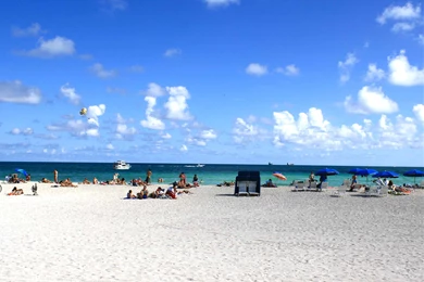 South Beach Pictures   HD Wallpapers Pretty