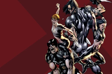 My Free Wallpapers   Comics Wallpapers : X Force