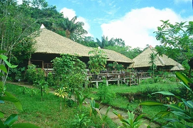 House In Amazon Forest 1600x1200 Wallpapers,Amazon Forest ...