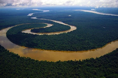 Amazon River Rain Forest Wallpapers