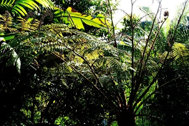 South America Wallpapers HD 1366x768