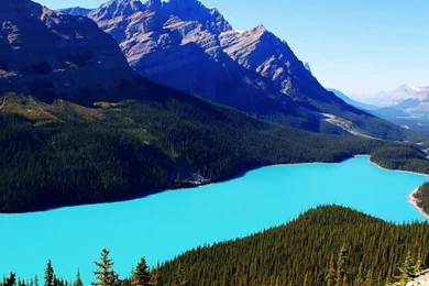 Peyto Lake Wallpapers Peyto Lake Wallpapers Hd