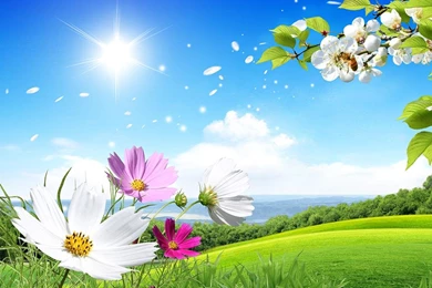 Spring Live Wallpapers   Android Apps On Google Play