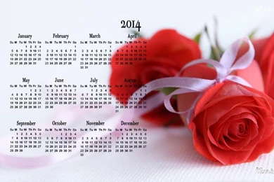 Calendar 2014 With Red Rose Wallpapers