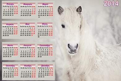 Horse Calendar 2014 Wallpapers