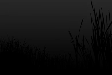 Black Wallpapers Pack Download   FLGX DB