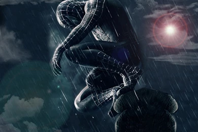 Free Wallpapers: Spider Man 3 Wallpapers, Spider Man Wallpapers