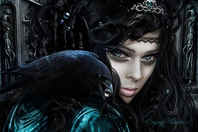 3689 Women HD Wallpapers