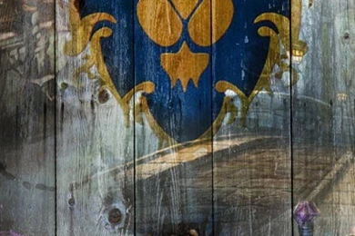 Wallpapers For Android Phone HD