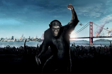 Dawn Of The Planet Of The Apes Wallpapers