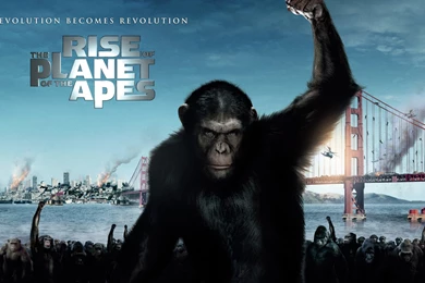 21 Rise Of The Planet Of The Apes HD Wallpapers