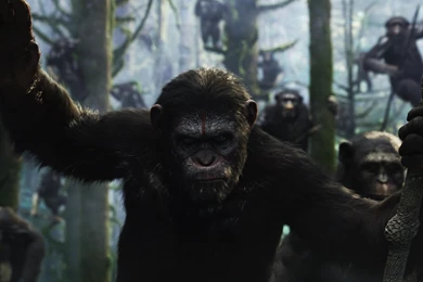 Dawn Of The Planet Of The Apes Wallpapers