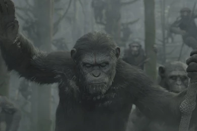 Image Dawn of the planet of the apes 51ebf72075c1a.jpg Planet ...