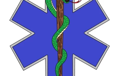 EMS Star Of Life Art (24409)
