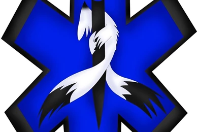 Star Of Life By Insane ChibiFox On DeviantArt