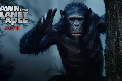 Dawn Of The Planet Of The Apes Wallpapers