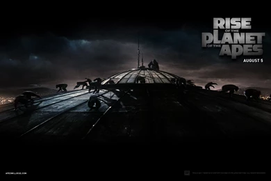 Rise Of The Planet Of The Apes Wallpapers