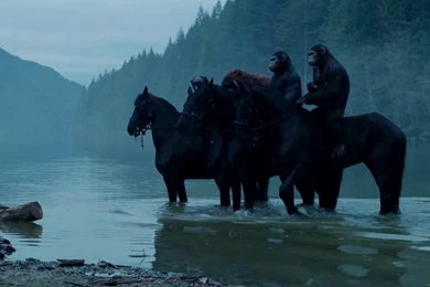 Dawn Of The Planet Of The Apes Movie Wallpapers HD