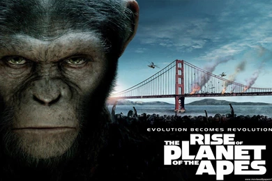 Dawn Of The Planet Of The Apes Wallpapers (1680x1050 ...