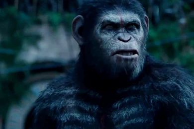Dawn Of The Planet Of The Apes Movie Wallpapers
