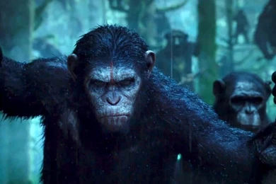 Rise Of The Planet Of The Apes Poster   Wallpaper.