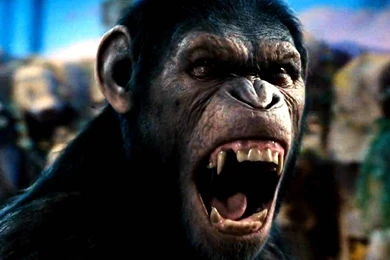 Dawn Of The Planet Of The Apes Wallpapers Iphone