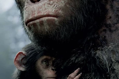 HD Dawn Of The Planet Of The Apes Wallpapers And Photos