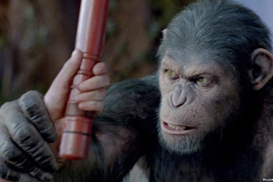 Dawn Of The Planet Of The Apes (2014)