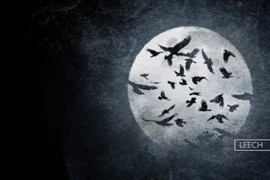 KATATONIA ART On Pinterest