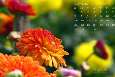 4th Of July Wallpapers