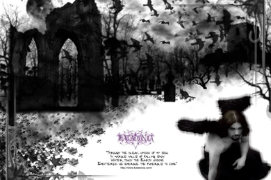 Browsing Wallpapers On DeviantArt