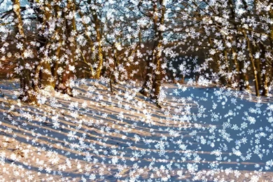 Live Wallpapers And Screensavers For PC