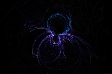 Download 2560x1600 Spider Abstract Art Wallpapers