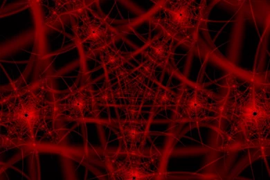 Spider Web Backgrounds   Wallpapers Zone