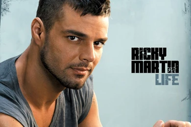 Is Ricky Martin Gay