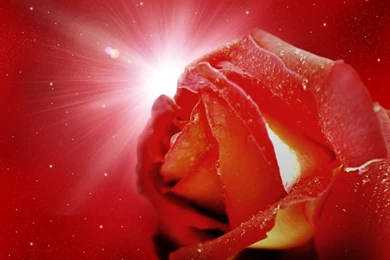 Love Kissing Wallpapers HD Wallpapers Pretty