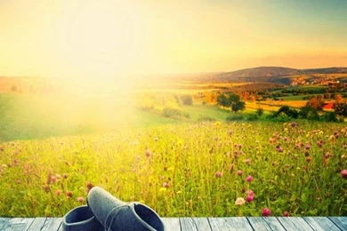 Shoe Backgrounds Online Shopping the World Largest Shoe Backgrounds ...