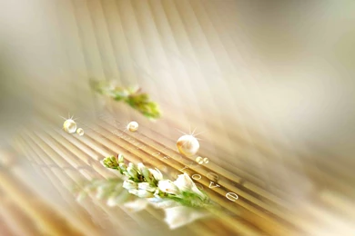 Photoshop Backgrounds Designs Psd Free Download ~ PSD