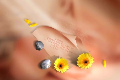 Photoshop Backgrounds Designs Psd Free Download ~ PSD