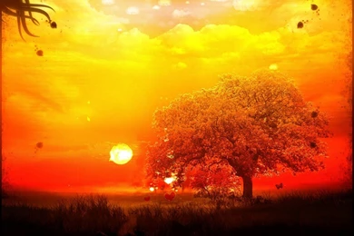 My Free Wallpapers   Abstract Wallpapers : Burning Landscape