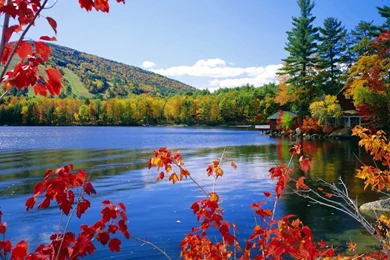 Wallpapers Nature Of Thrisha Free Hd Landscape 1280x1024