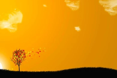 Abstract Tree Backgrounds HD Wallpapers