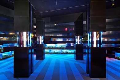 Floral Scratch and sniff Wallpapers With Security Cameras