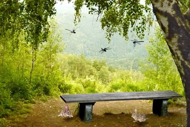 Abstract Landscape Wallpapers HD   HD Great Images